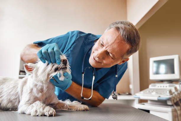 Emergency Dental Filling Replacement in NJ